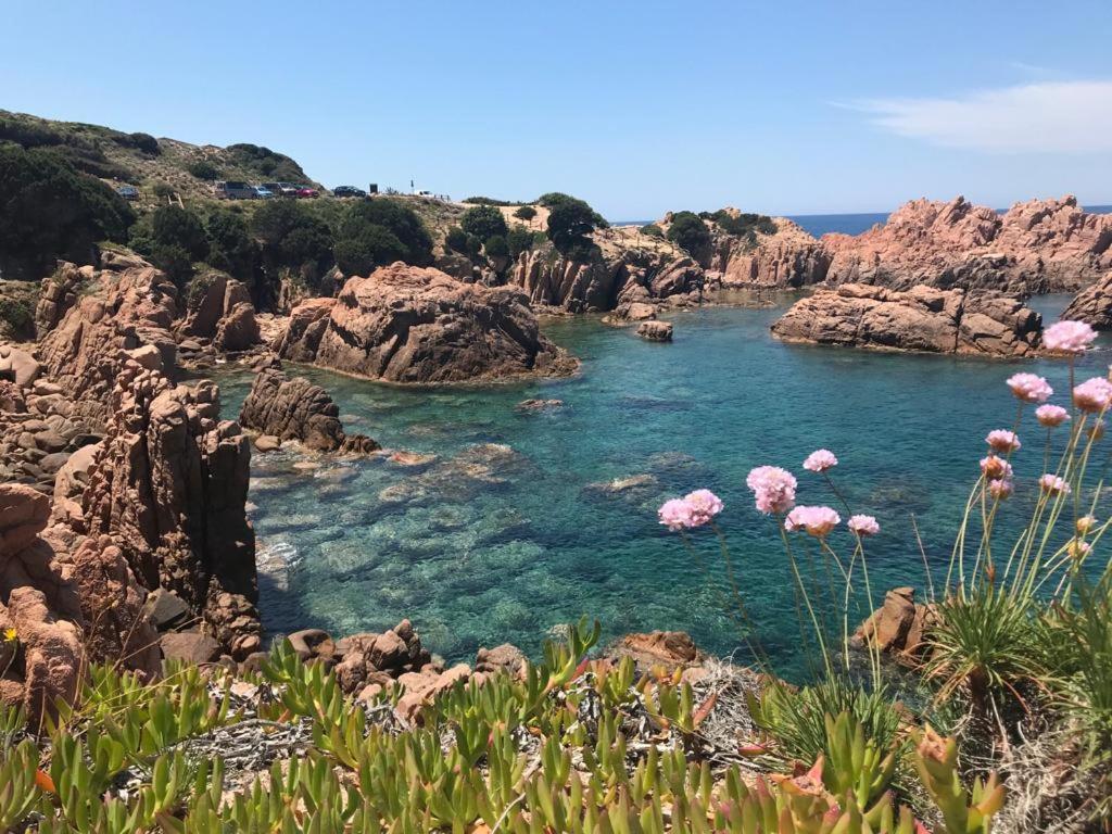 Residenze Paradiso Costa Paradiso Kültér fotó